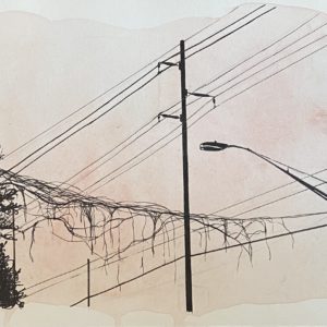 Lines and Vines, Leigh Ann Torres